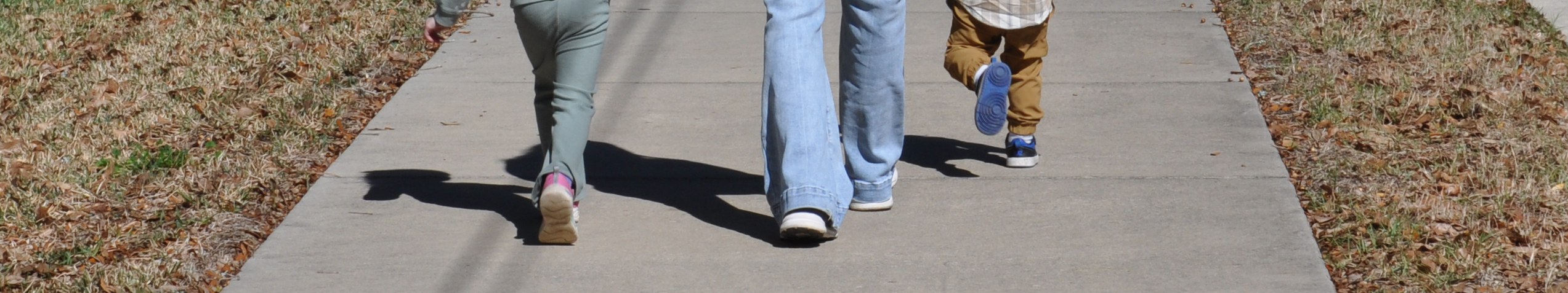 Fairlane Road Pedestrian and Street Safety (PASS)t